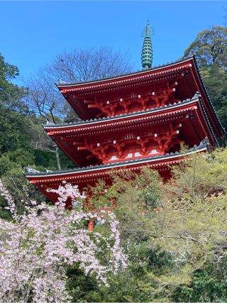 岐阜城（美濃國井之口の山館、稲葉山城、金華山城、井口城）の登城記録(マサルさん)