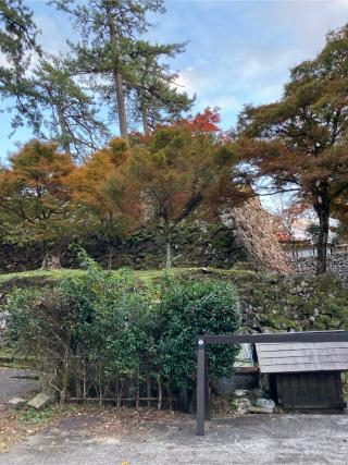 郡上八幡城の登城記録(あずはるゆうさん)