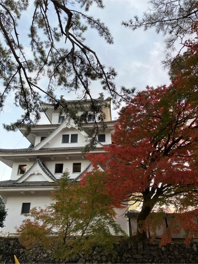 岐阜県郡上市八幡町柳町一の平６５９ 郡上八幡城の写真2