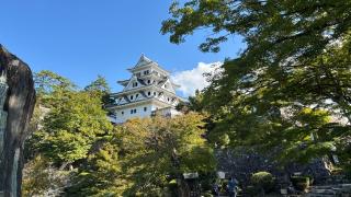 郡上八幡城の登城記録(七輪男爵さん)