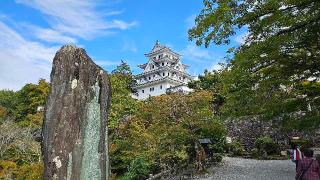 郡上八幡城の登城記録(にゃんぞうさん)