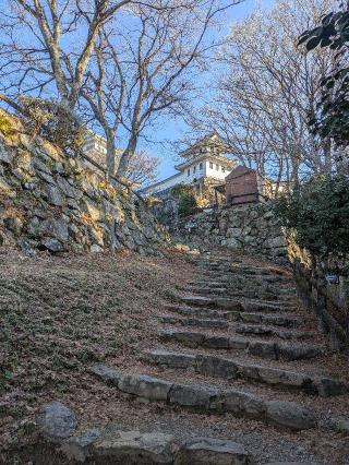 郡上八幡城の登城記録(クラスティさん)