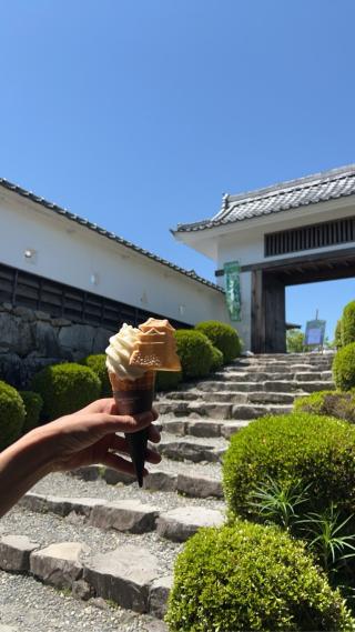 郡上八幡城の登城記録(まひろさん)