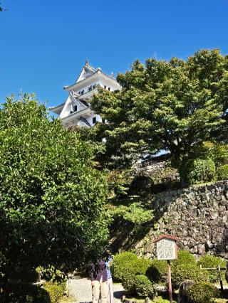 郡上八幡城の登城記録(ムークンさん)