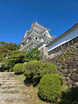 郡上八幡城の登城記録(ムークンさん)