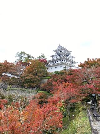 郡上八幡城の登城記録(クレナイトさん)