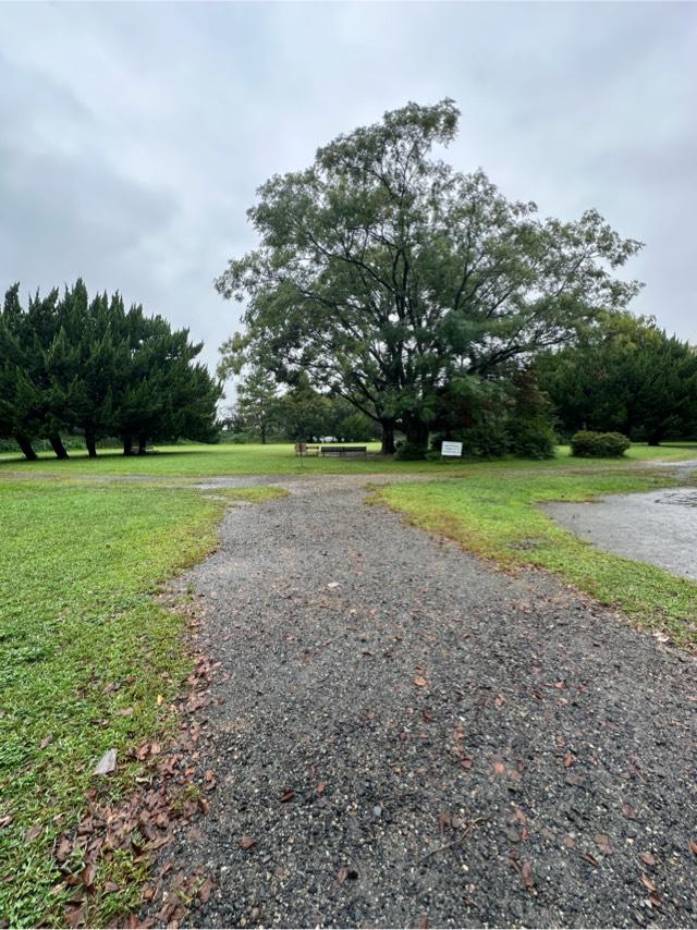 岐阜県岐阜市加納丸之内７ 加納城の写真3