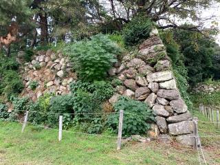 加納城の登城記録(くーさん)