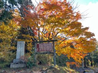 岩村城の登城記録(デッキさん)