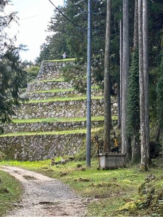 岩村城の登城記録(まるまるさん)