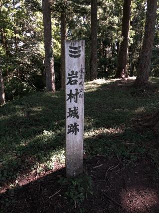 岩村城の登城記録(名古屋 山三郎さん)