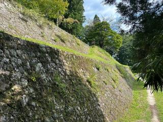 岩村城の登城記録(名古屋 山三郎さん)