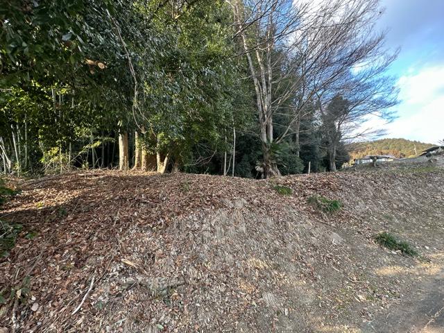 岐阜県可児郡御嵩町顔戸９５４ 顔戸城の写真2