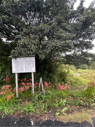 高桑城の登城記録(清正さん)