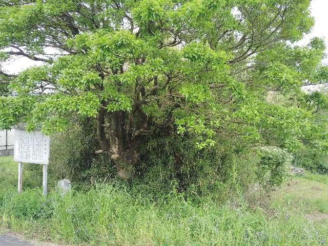 岐阜県岐阜市柳津町高桑２丁目 高桑城の写真2