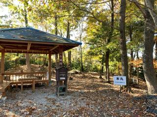 今城の登城記録(くーさん)