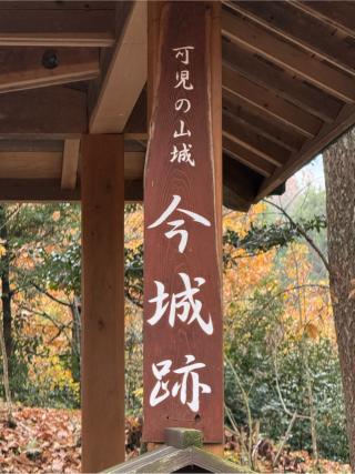 今城の登城記録(てぃみーむうさん)