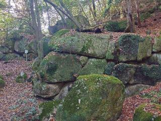 妻木城の登城記録(排球馬鹿さん)