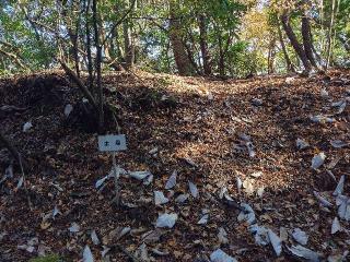 妻木城の登城記録(排球馬鹿さん)