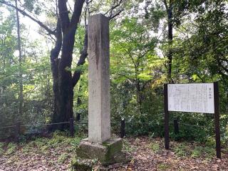 鷺山城の登城記録(くーさん)