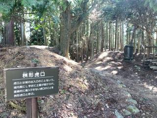 松尾山城の登城記録(くーさん)