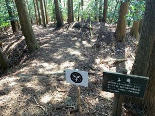 松尾山城の登城記録(くーさん)