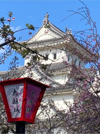 大垣城の登城記録(マサルさん)