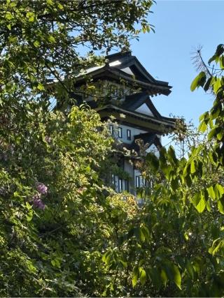 大桑城の登城記録(チョコ康さん)