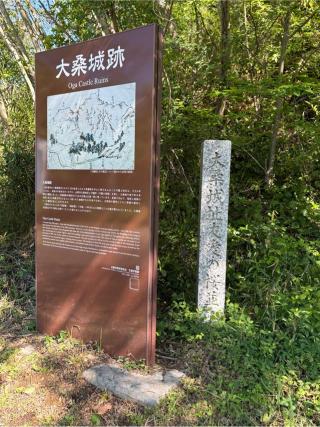 大桑城の登城記録(チョコ康さん)