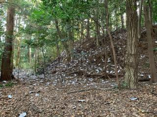 大森城の登城記録(くーさん)