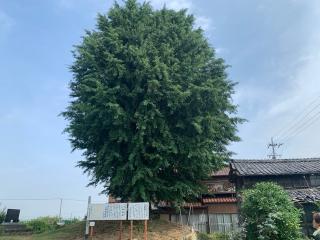 八神城の登城記録(くーさん)