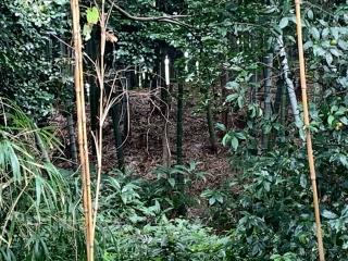 伏屋城の登城記録(くーさん)