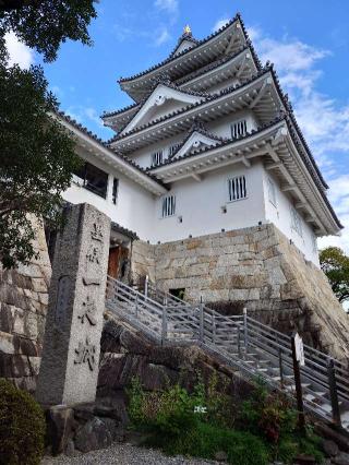 墨俣城（一夜城・墨俣一夜城）の登城記録(排球馬鹿さん)
