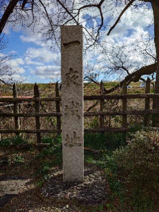 墨俣城（一夜城・墨俣一夜城）の登城記録(東野豊さん)