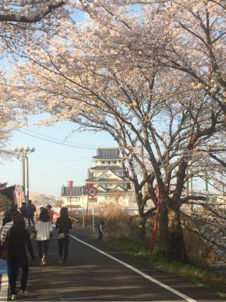 墨俣城（一夜城・墨俣一夜城）の登城記録(名古屋 山三郎さん)