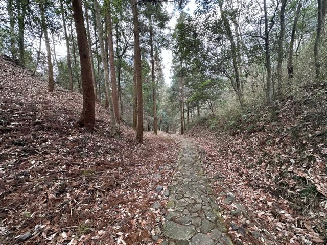 岐阜県可児市瀬田５丁目１２３８−３ 明智城の写真4