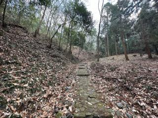 明智城の登城記録(清正さん)