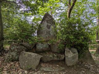 明智城の登城記録(ポッキーさん)