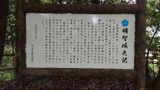 明智城の登城記録(オカドンさん)