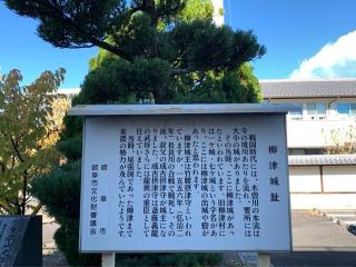 柳津城の登城記録(くーさん)