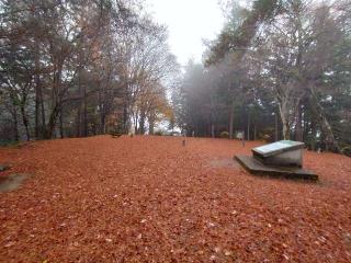高山城の登城記録(タケローさん)