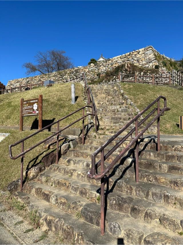 静岡県浜松市中央区元城町１００−２ 浜松城（曳馬城）の写真3