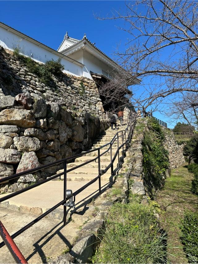静岡県浜松市中央区元城町１００−２ 浜松城（曳馬城）の写真5