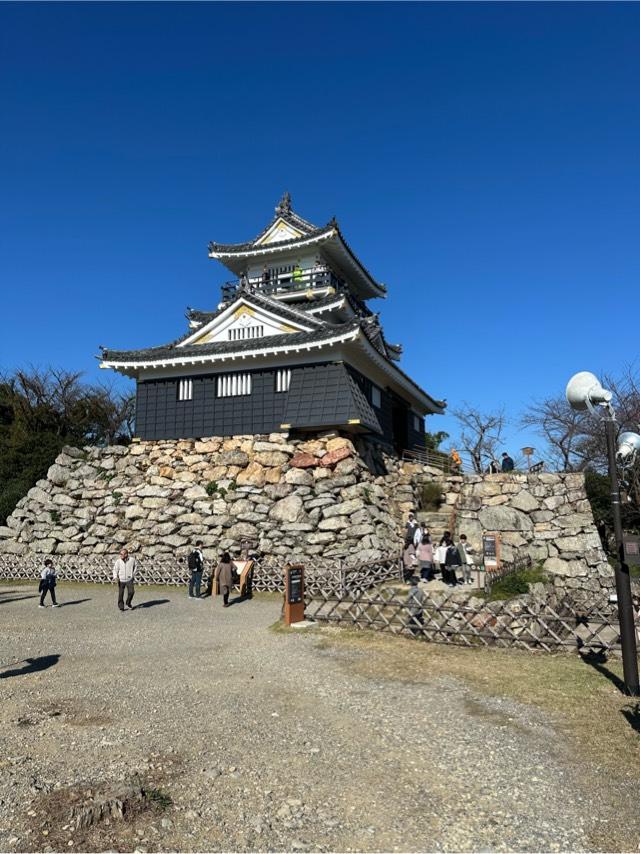 静岡県浜松市中央区元城町１００−２ 浜松城（曳馬城）の写真6