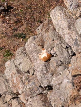 浜松城（曳馬城）の登城記録(泰成さん)