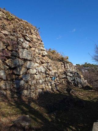 浜松城（曳馬城）の登城記録(気分は上昇さん)