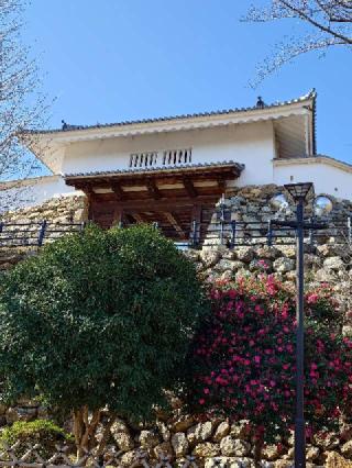 浜松城（曳馬城）の登城記録(気分は上昇さん)