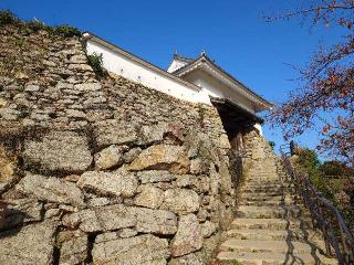 浜松城（曳馬城）の登城記録(syuさん)