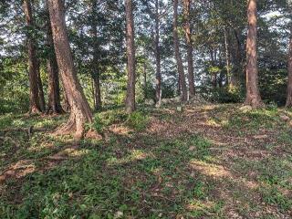 井伊谷城の登城記録(泰成さん)