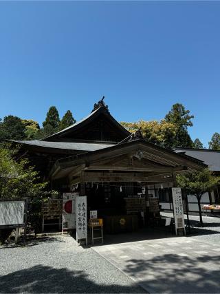 井伊谷城の登城記録(っょさん)